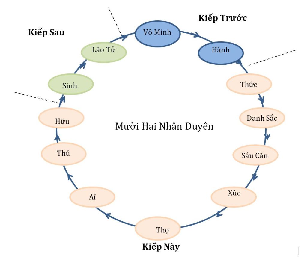 Kinh Phân tích lý duyên khởi (SN 12.2): Chuỗi 12 nhân duyên khiến người ta trôi lăn trong luân hồi là&nbsp;gì?